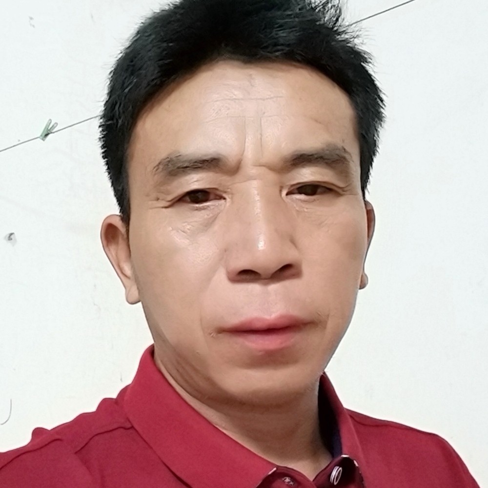 逆流的魚的照片