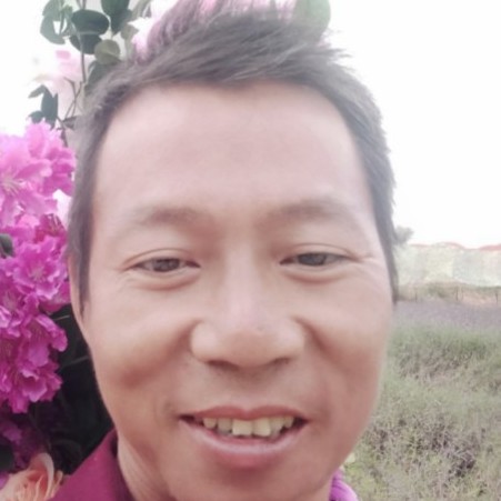 傻傻苦恋流影的照片