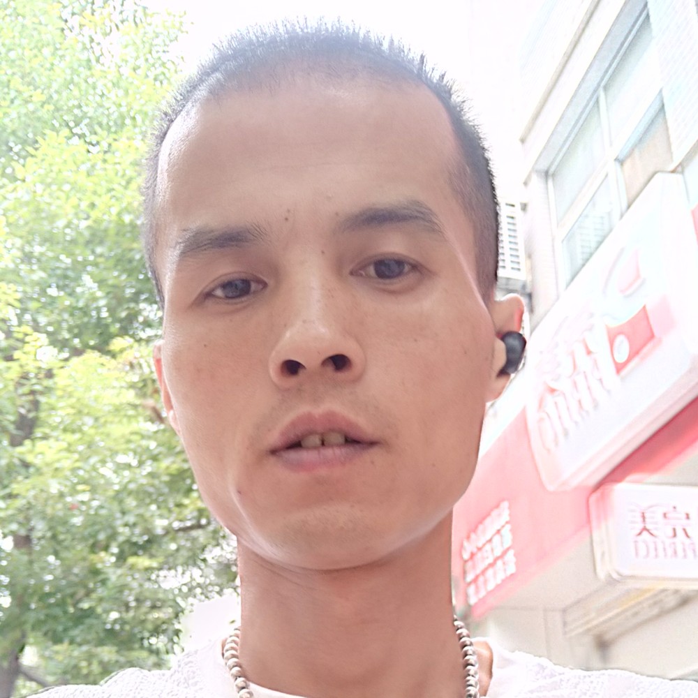 平常龙猫的照片