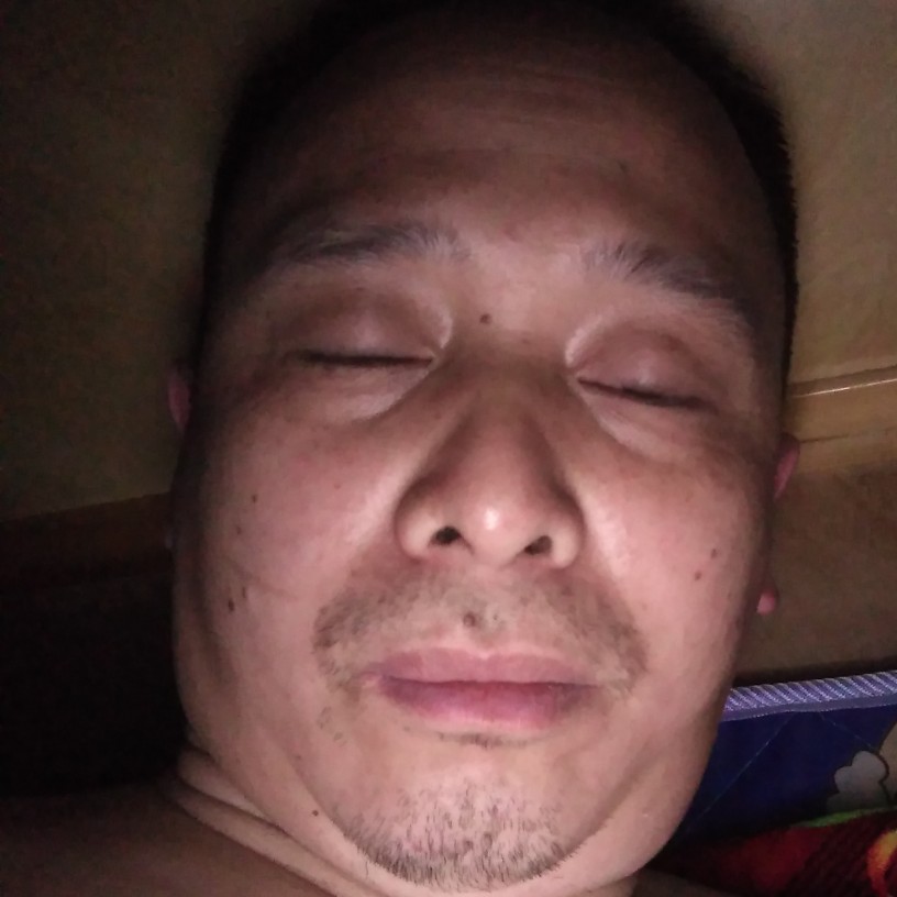 刻苦拾忆乌龟的照片