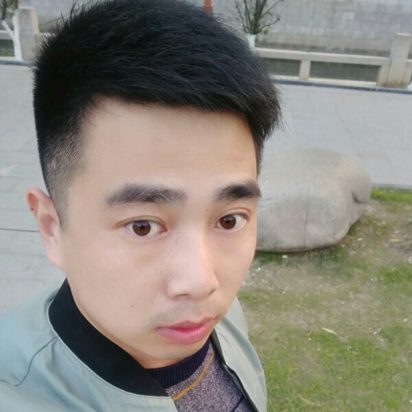 称心奇异果的照片