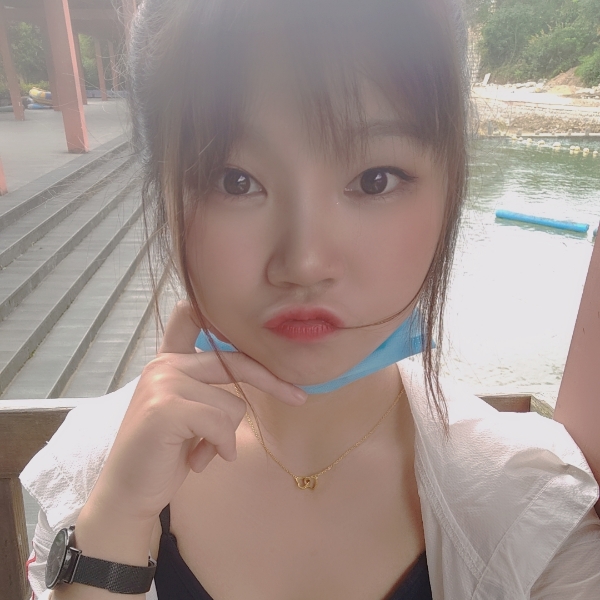 向日葵的照片