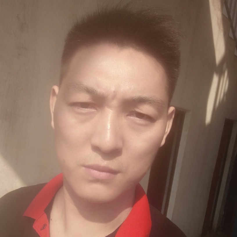 豫勤劳的小蜜蜂的照片