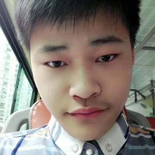 怕黑等待灰狼的照片