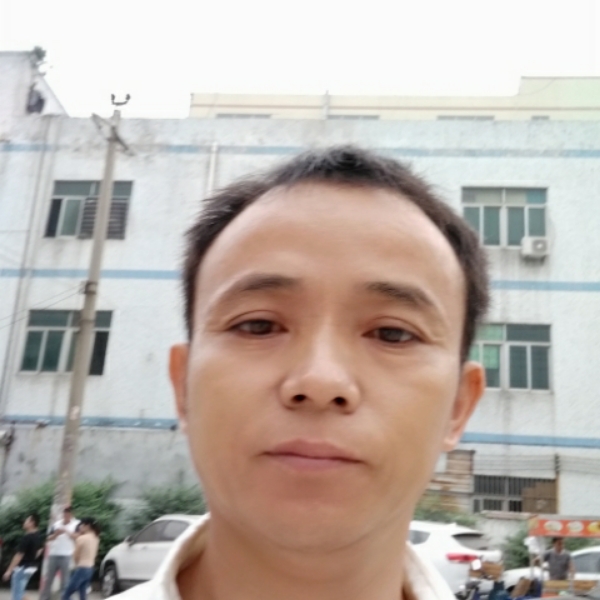 黯然就大雁的照片