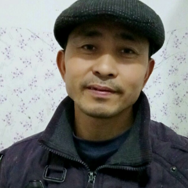 黑猫放弃神勇的照片