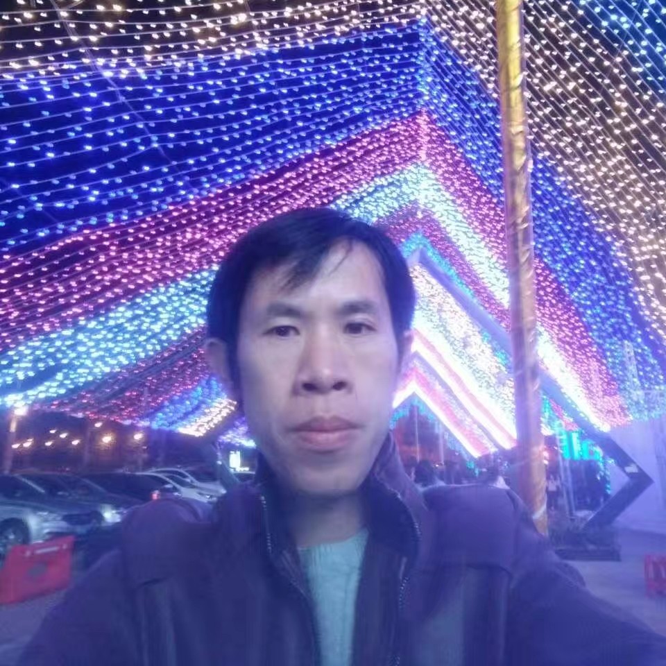 龙猫有舒心的照片