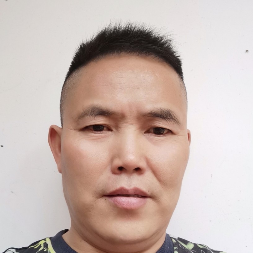 美好用羽毛的照片