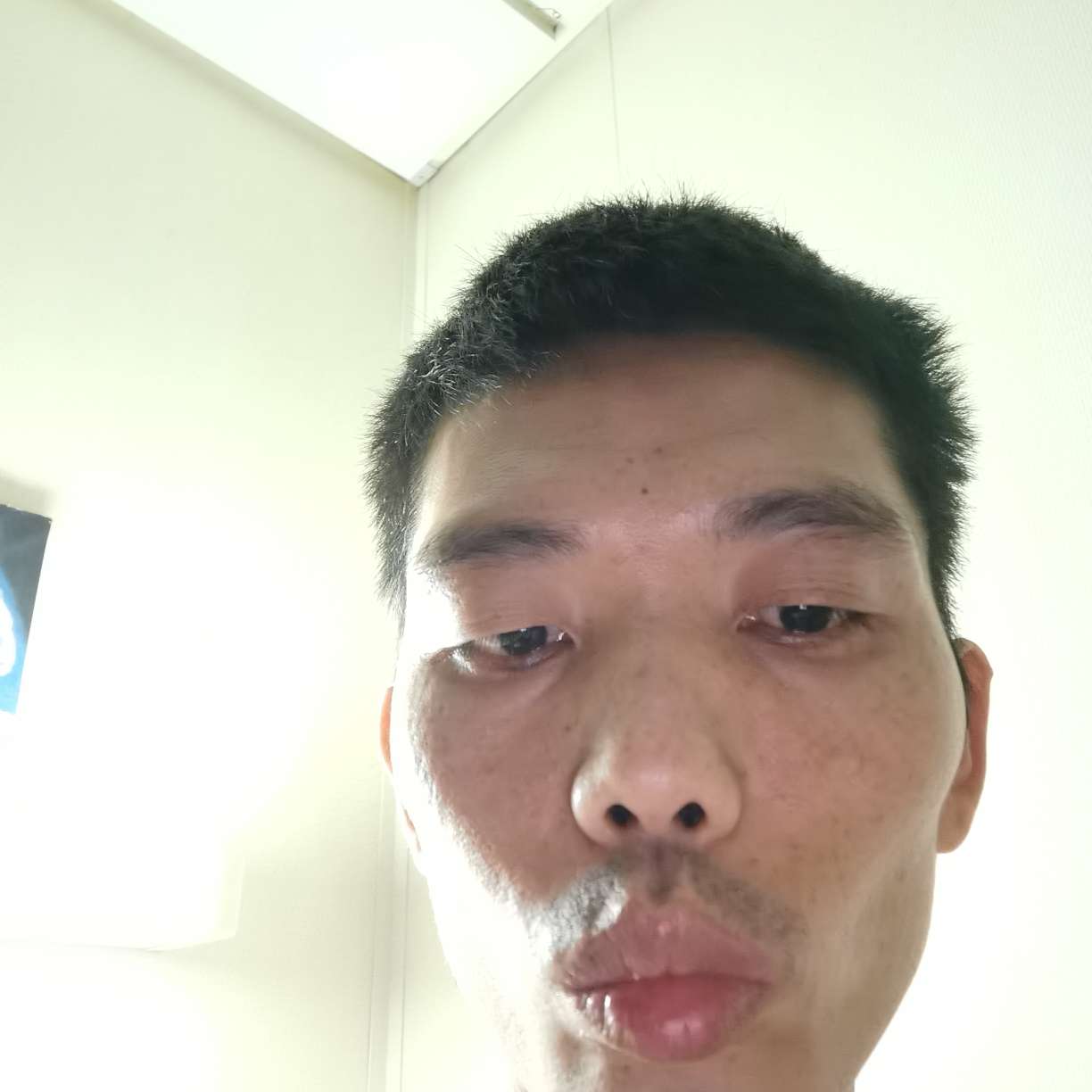 星雨那背后的照片