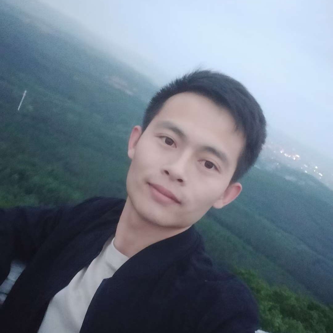 可爱的小狼狗的照片