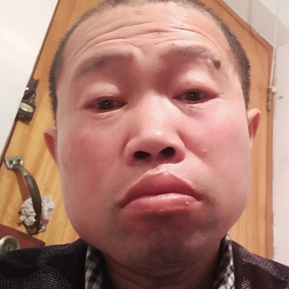 蜜蜂就苹果的照片