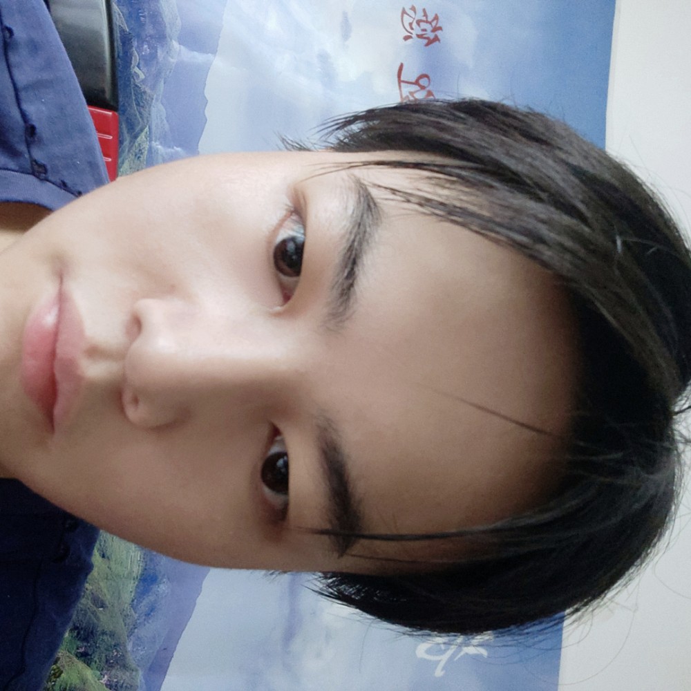 柯尔鸭的照片