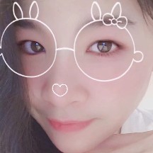 自然浅吻蚂蚁的照片