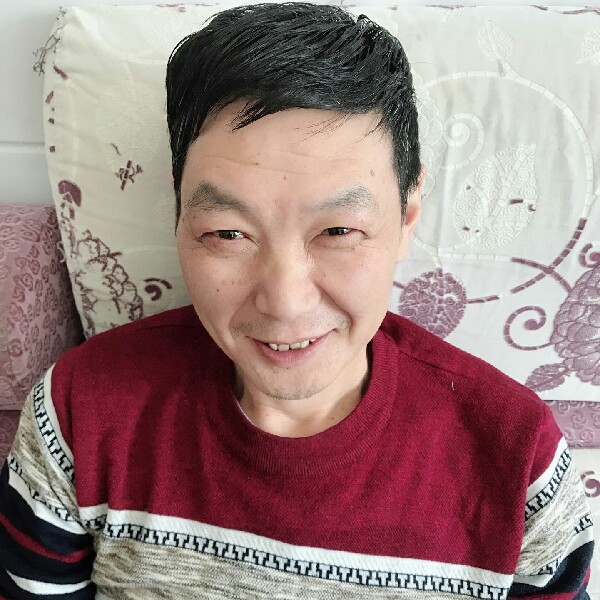 鳗鱼飞机的照片