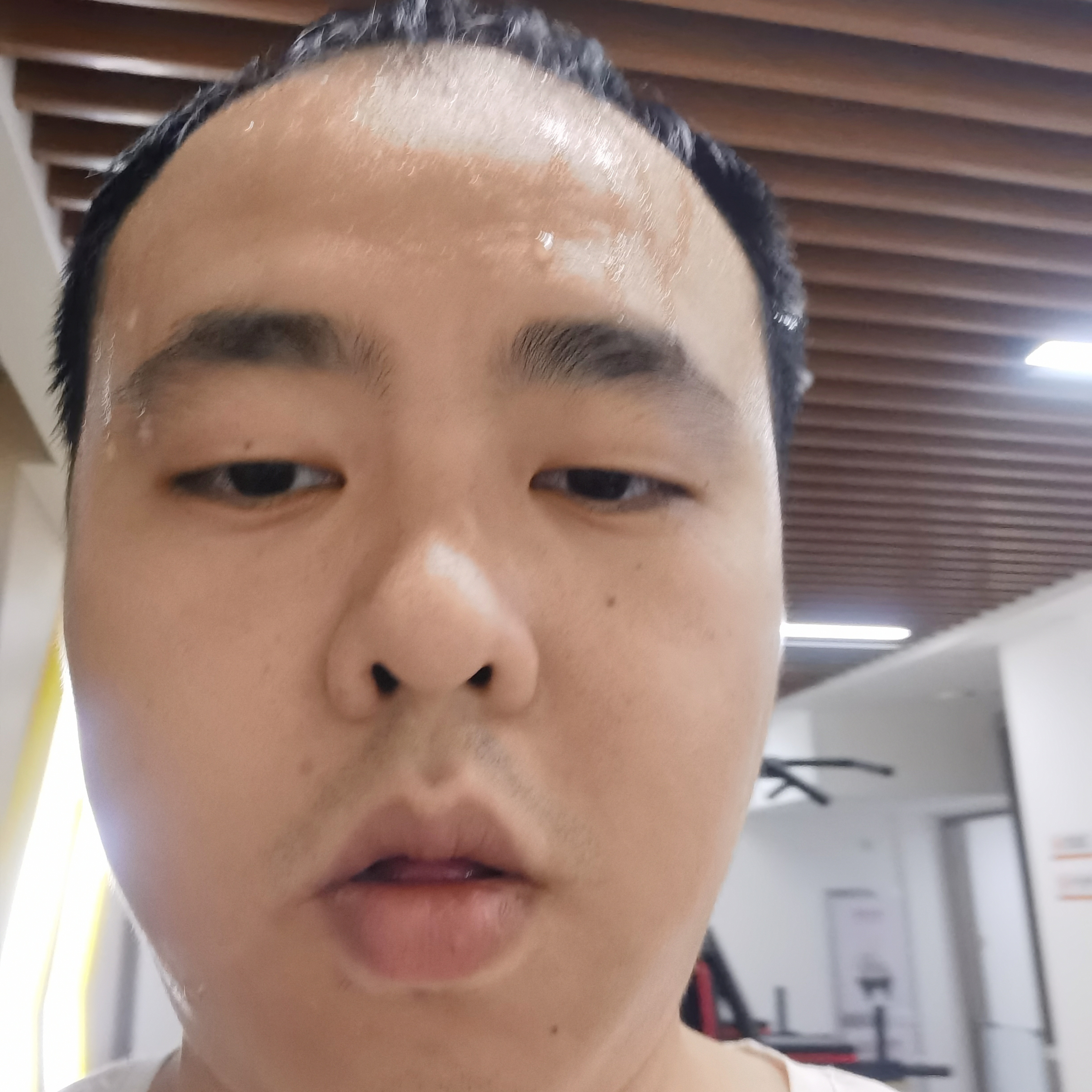 玩命等于大树的照片