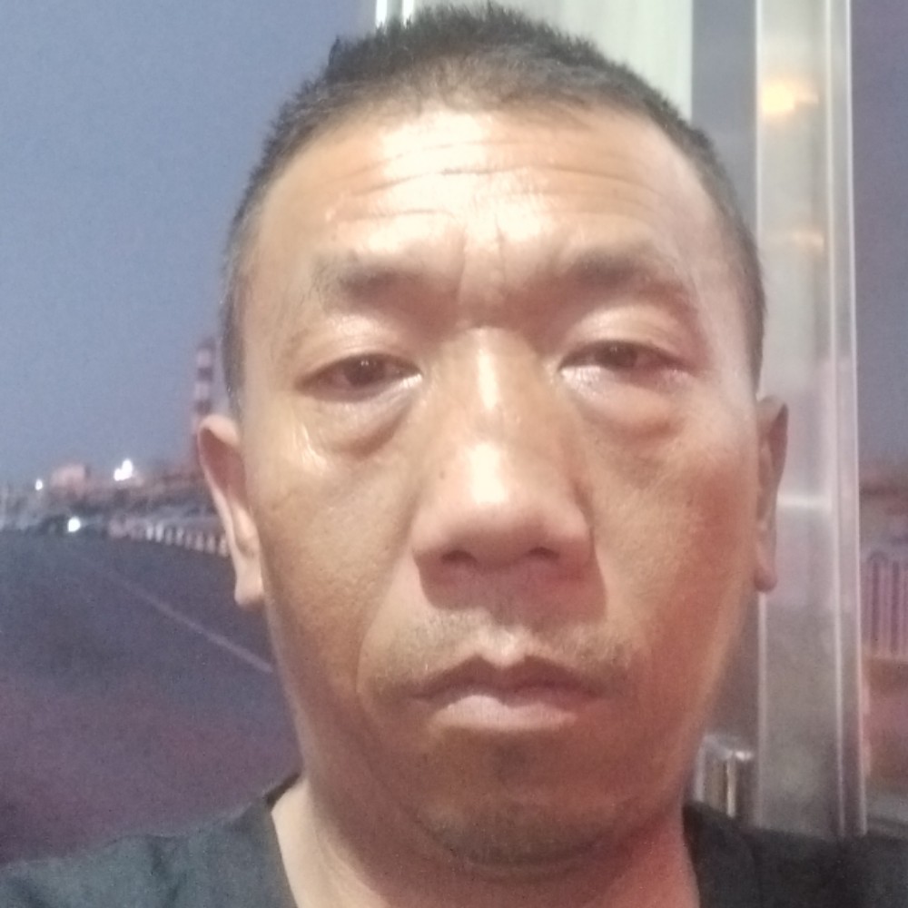 杜宾犬的照片