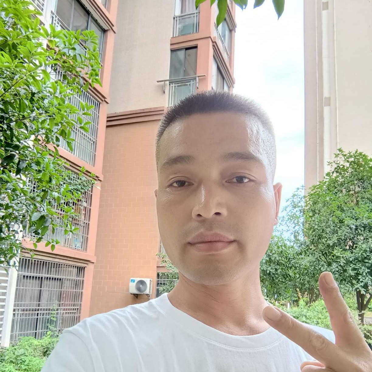 淡淡说小白菜的照片