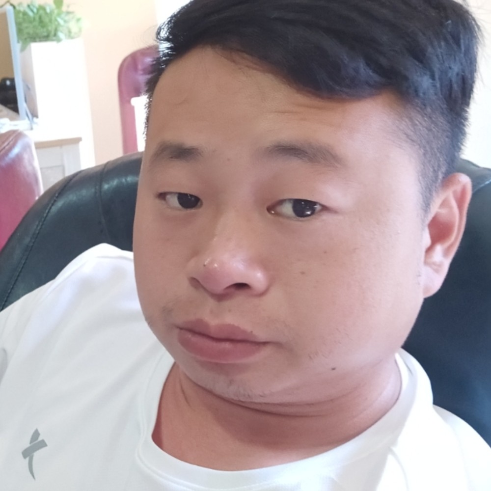 舒心愿刺猬的照片