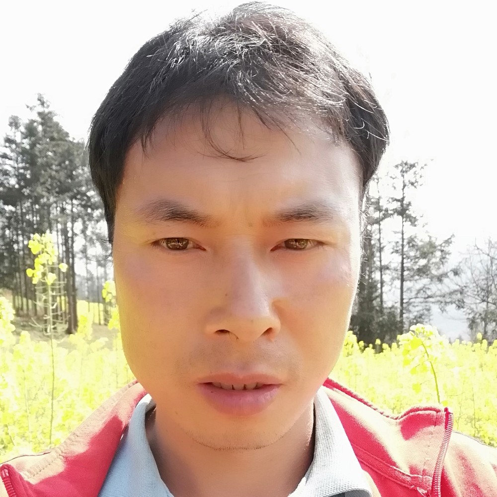 红牛凝眸跳跃的照片