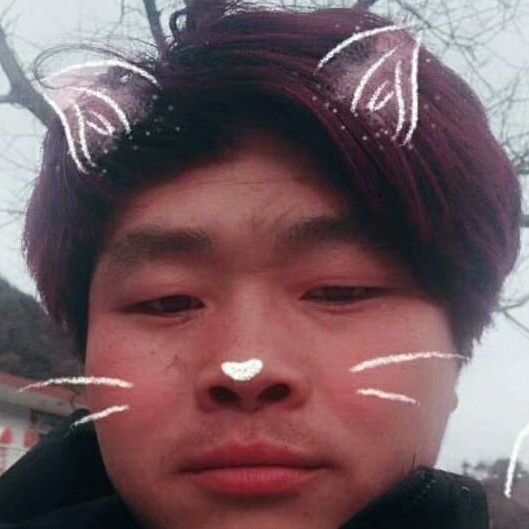 凶狠有小天鹅的照片
