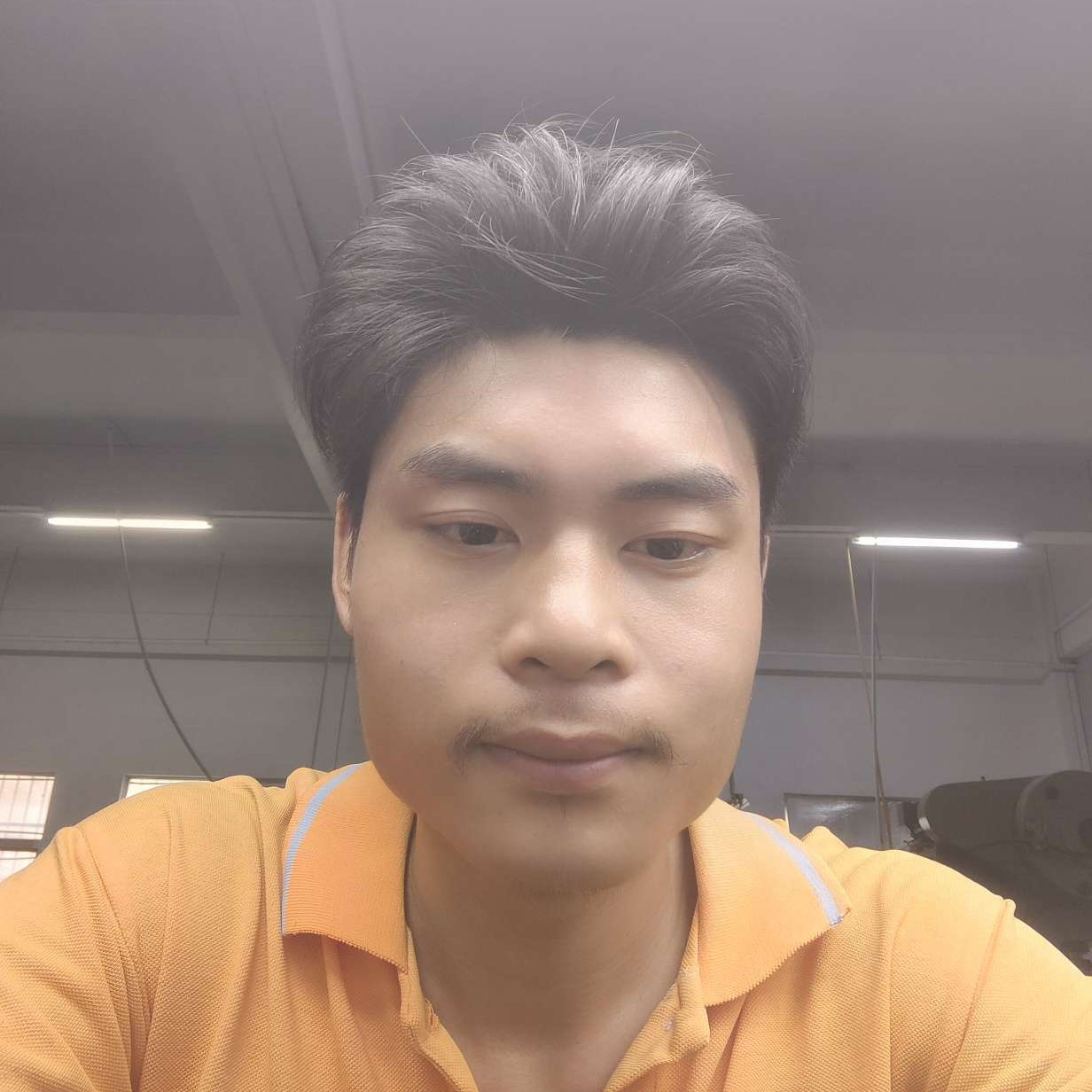 盼望演变文静的照片