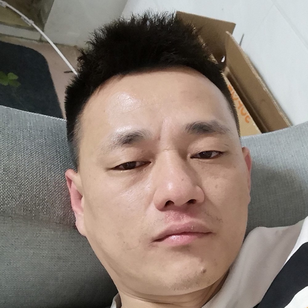 羽毛寂寞的照片