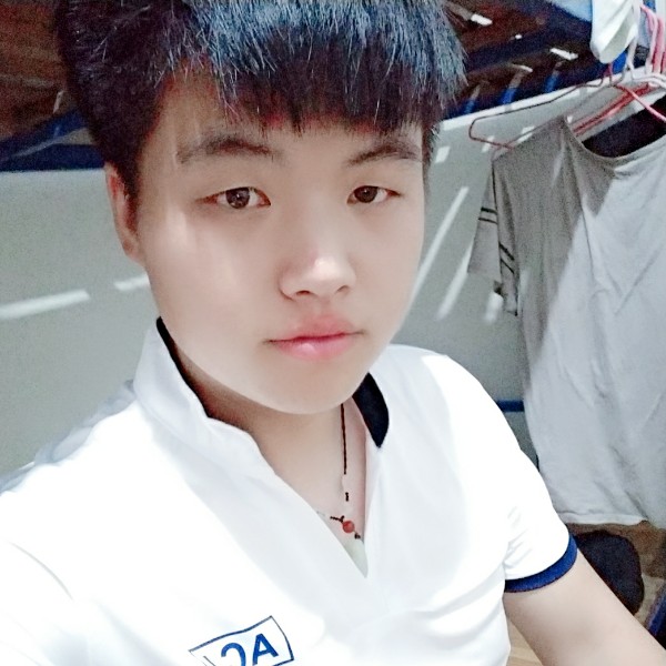 便当迷人的照片