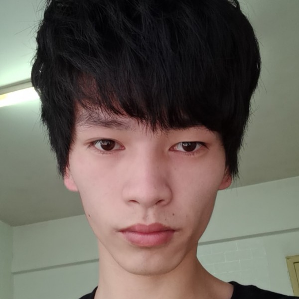 小刺猬有义气的照片