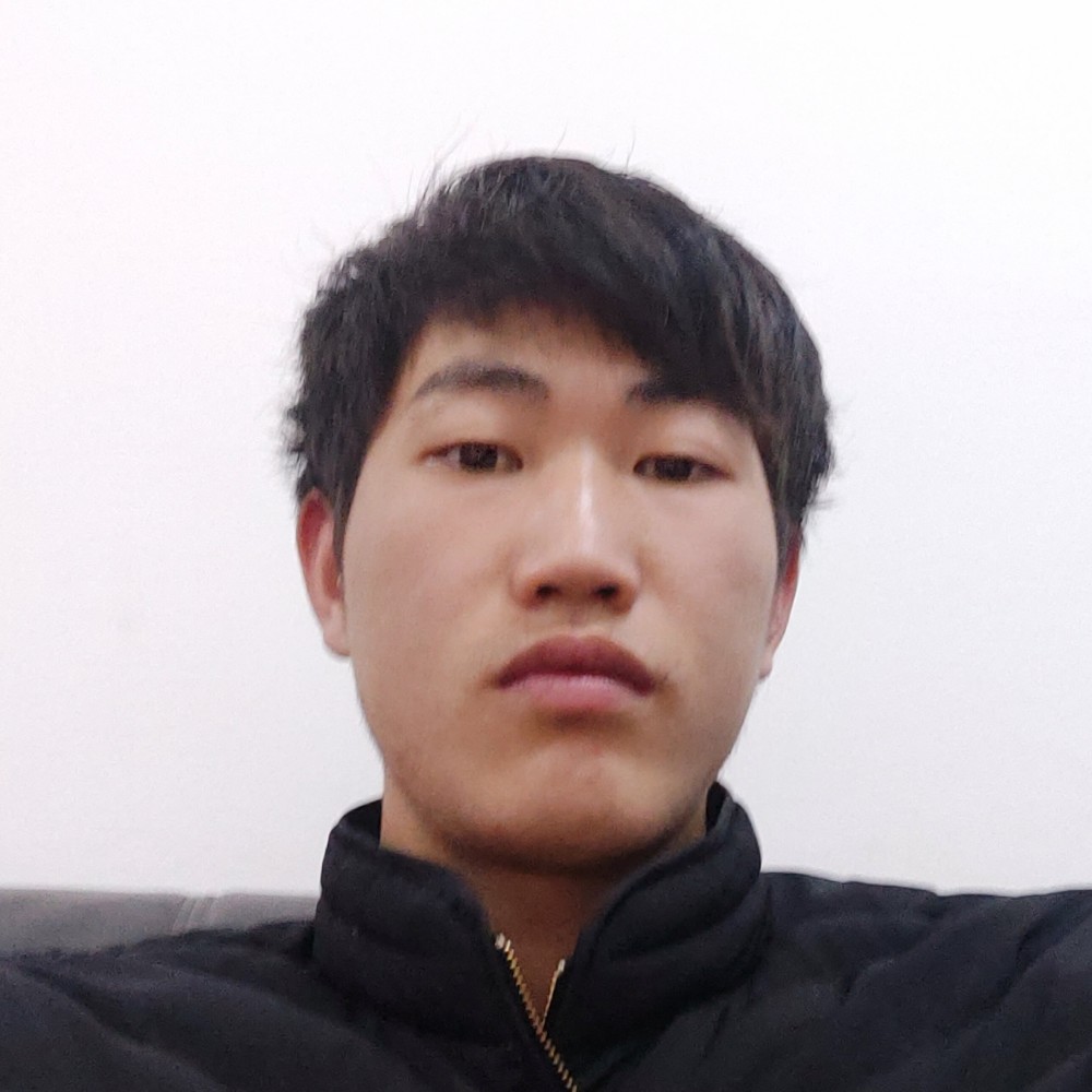 悲凉森槿的照片