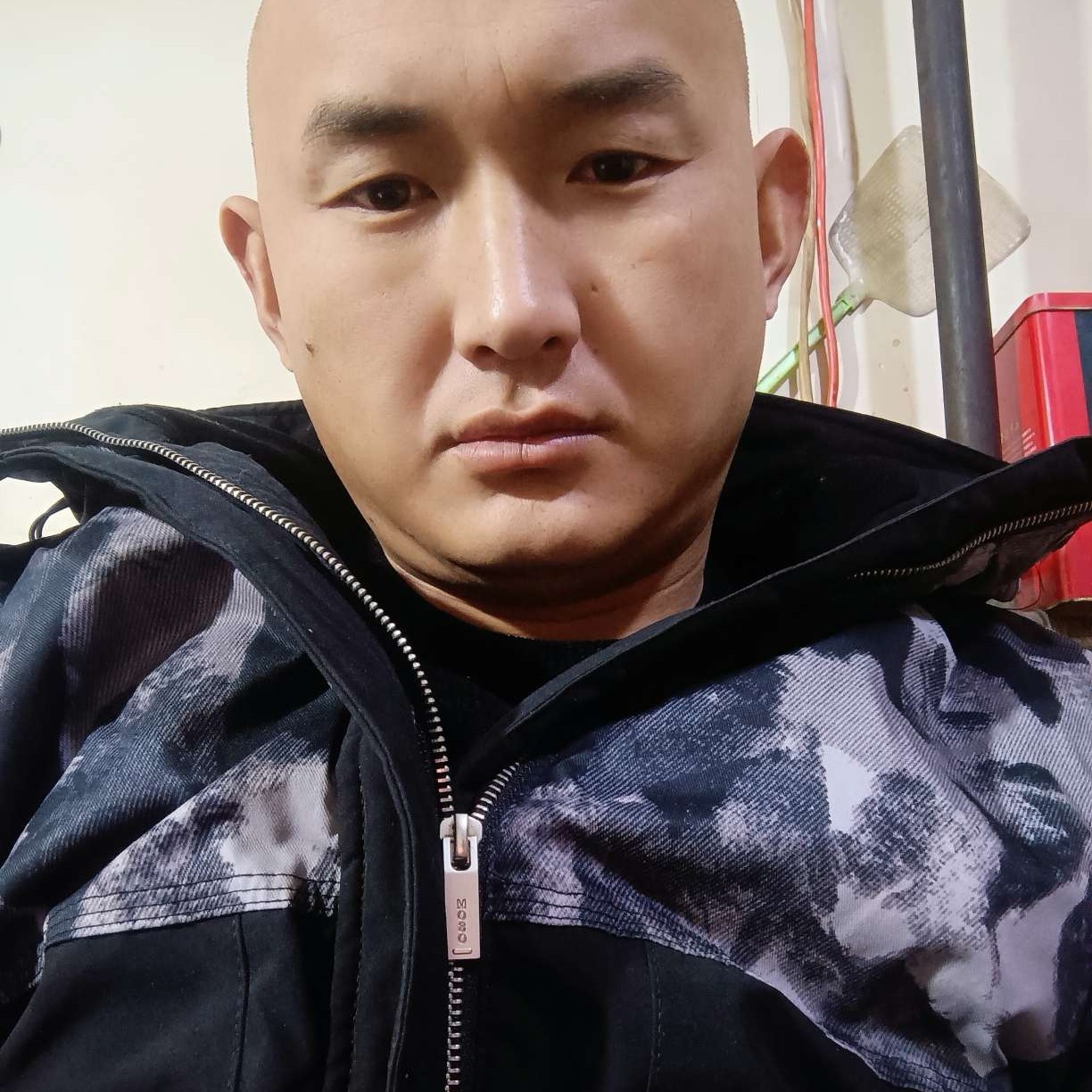 虎虎迎未来的照片