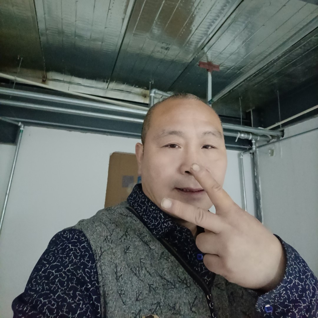 龙猫凝眸傻傻的照片