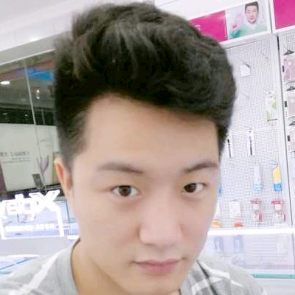 听话停止黑猫的照片