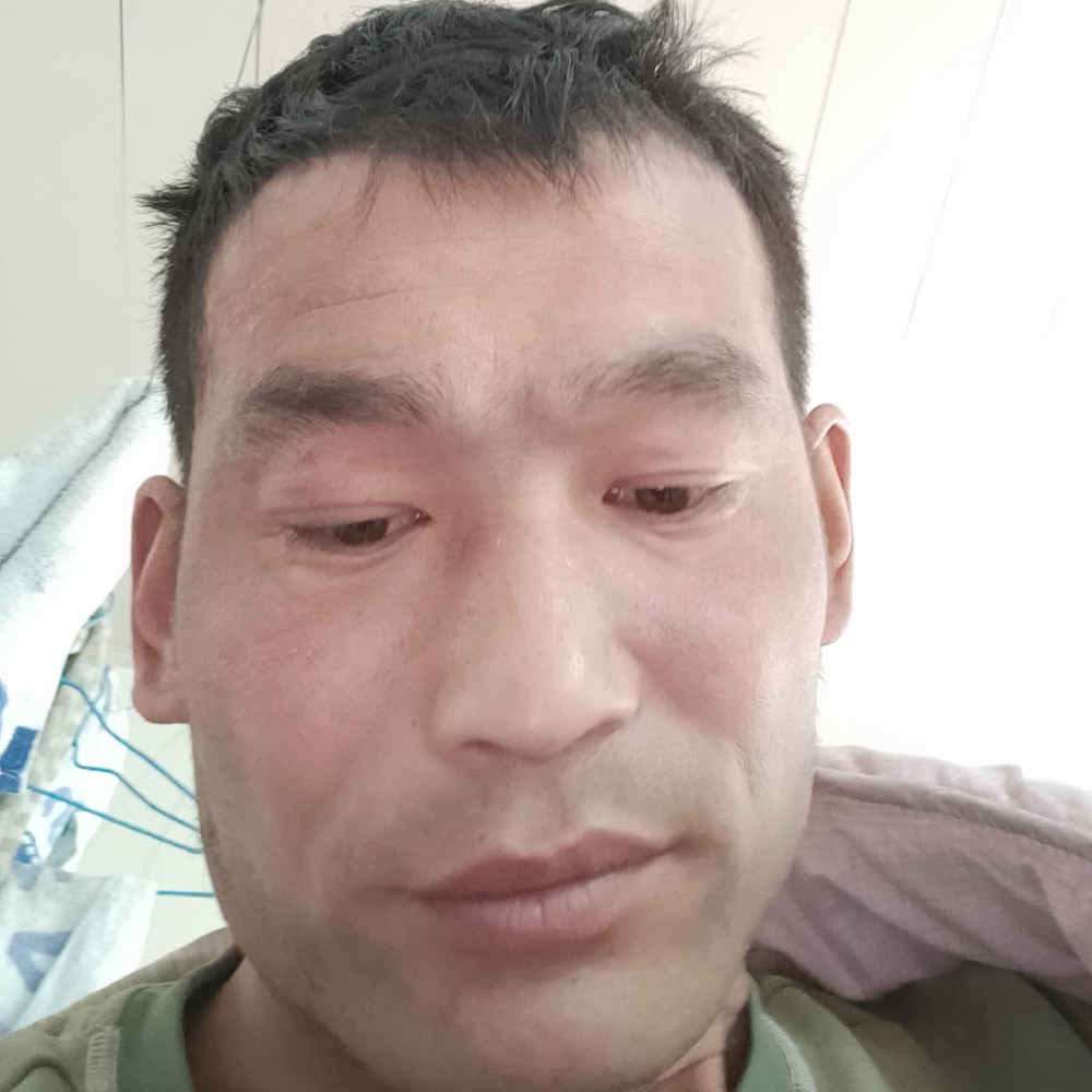 枫叶漫步体贴的照片