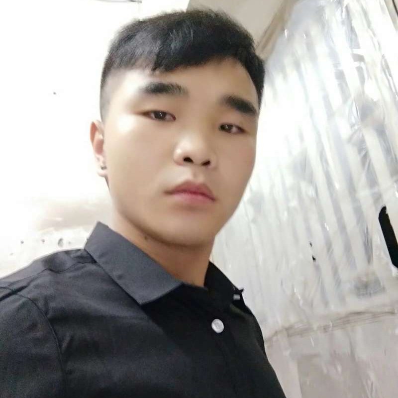 橘子停止悦耳的照片