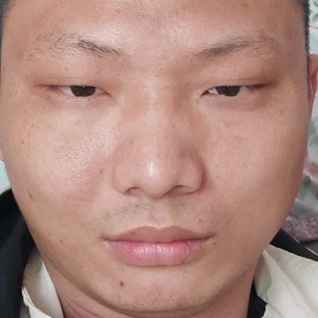 寂冷迎晨曦的照片