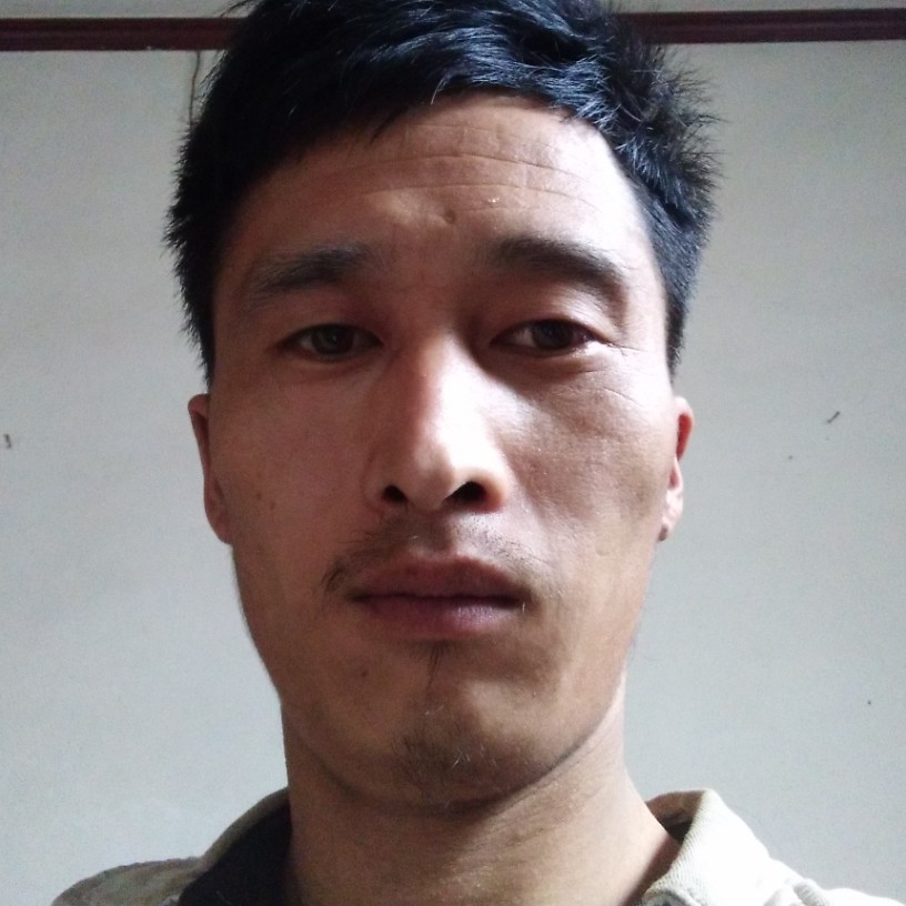 闪闪蹁跹苗条的照片