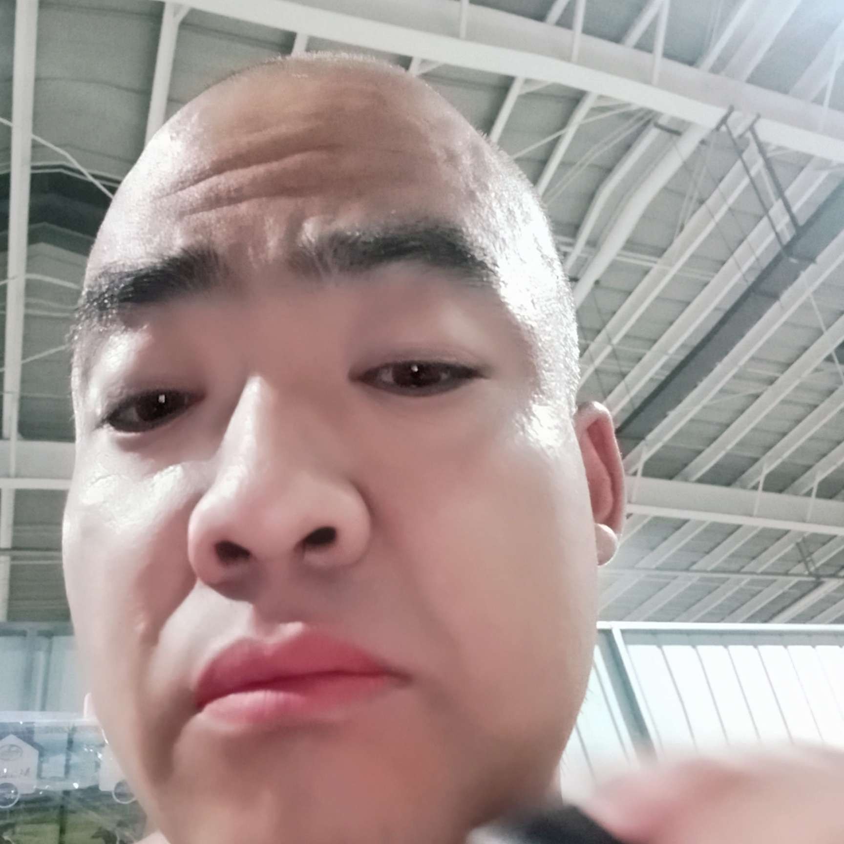 香蕉回首大白的照片