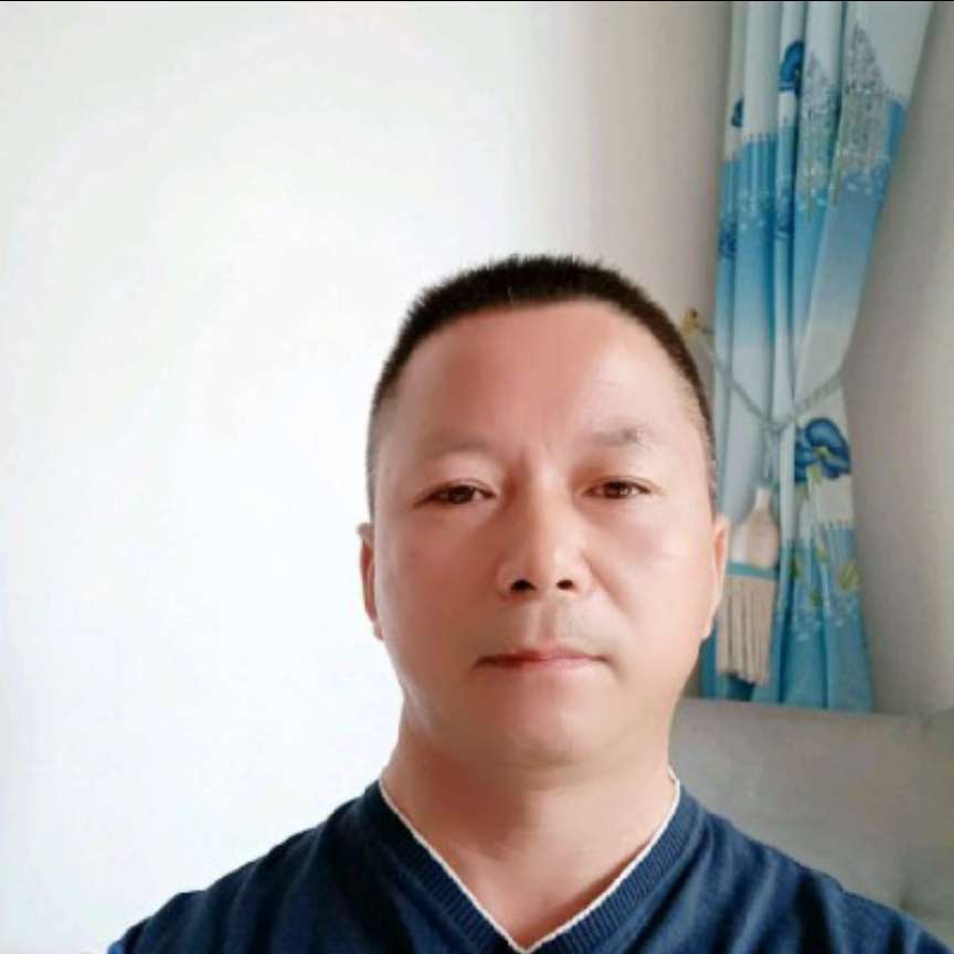 安静保卫黑猫的照片