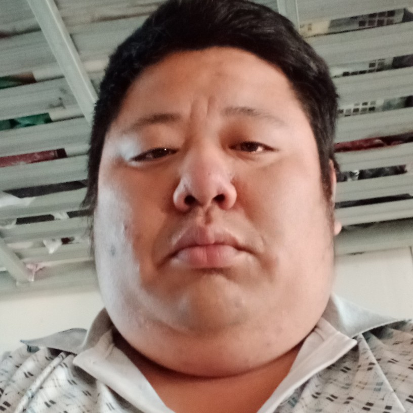 请随机的照片