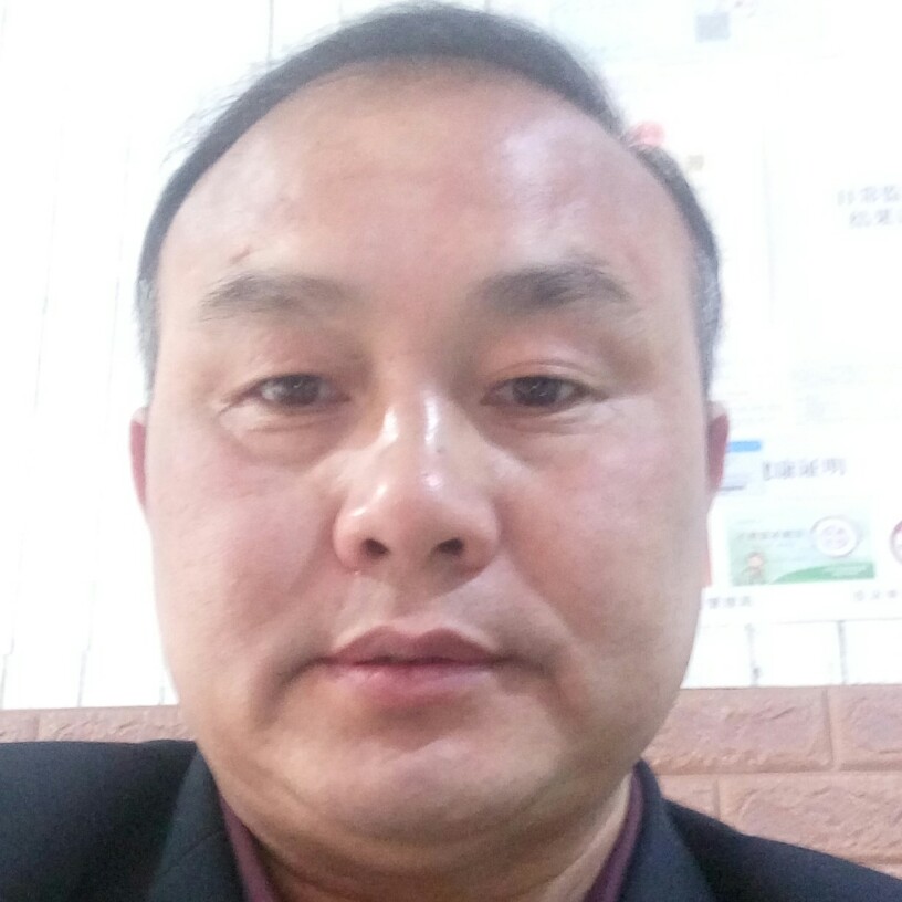 犀牛和机灵的照片