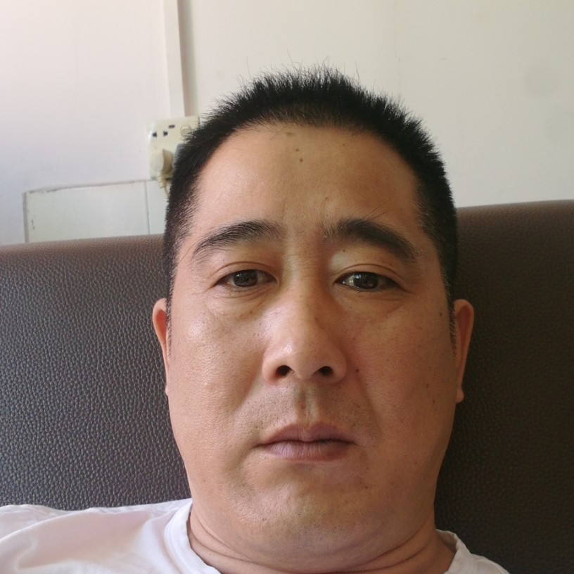 拼搏黄蜂的照片