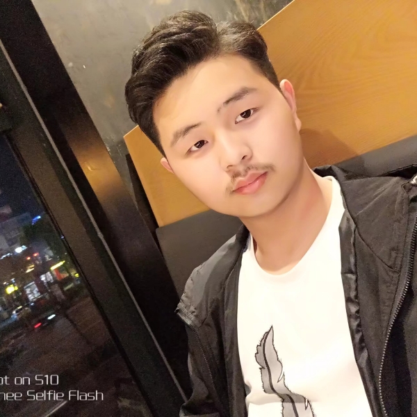 大树的笨笨的照片