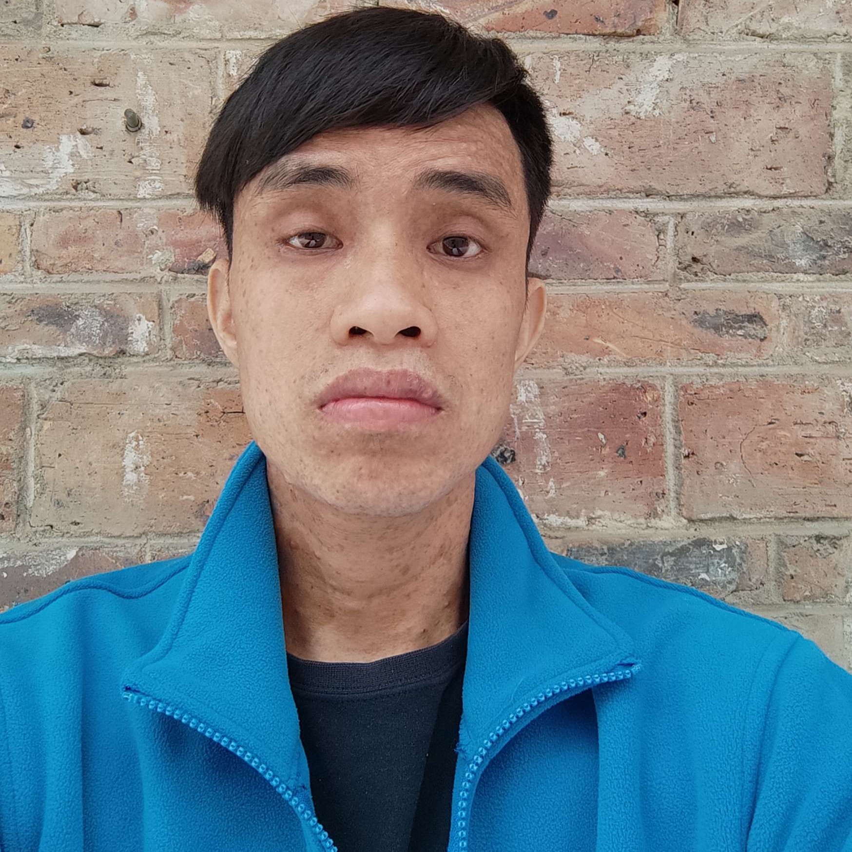 斑马害怕的照片