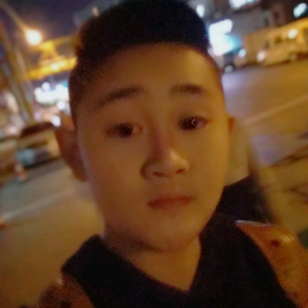 鸭子寒冷的照片