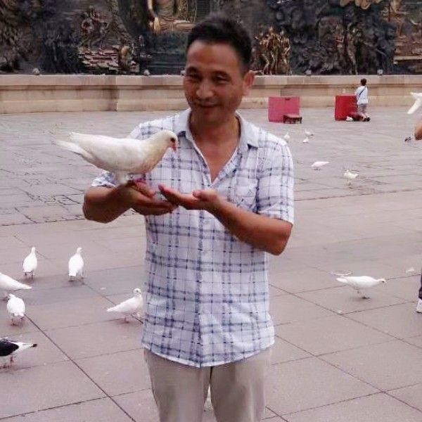 凌霜自行的照片