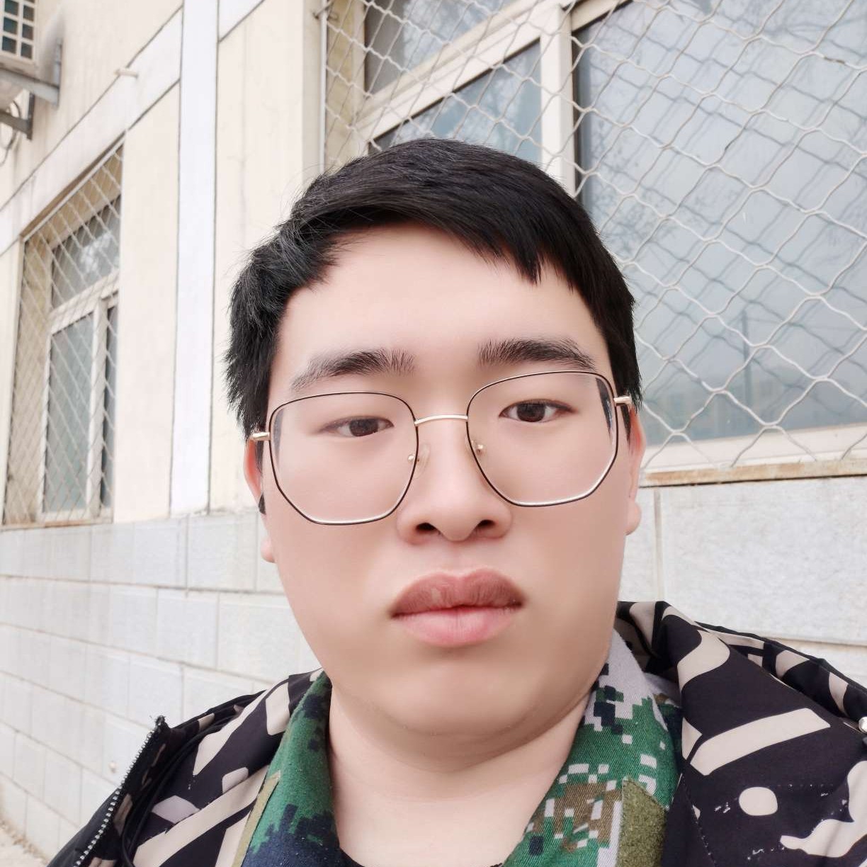 明亮爱恋野狼的照片