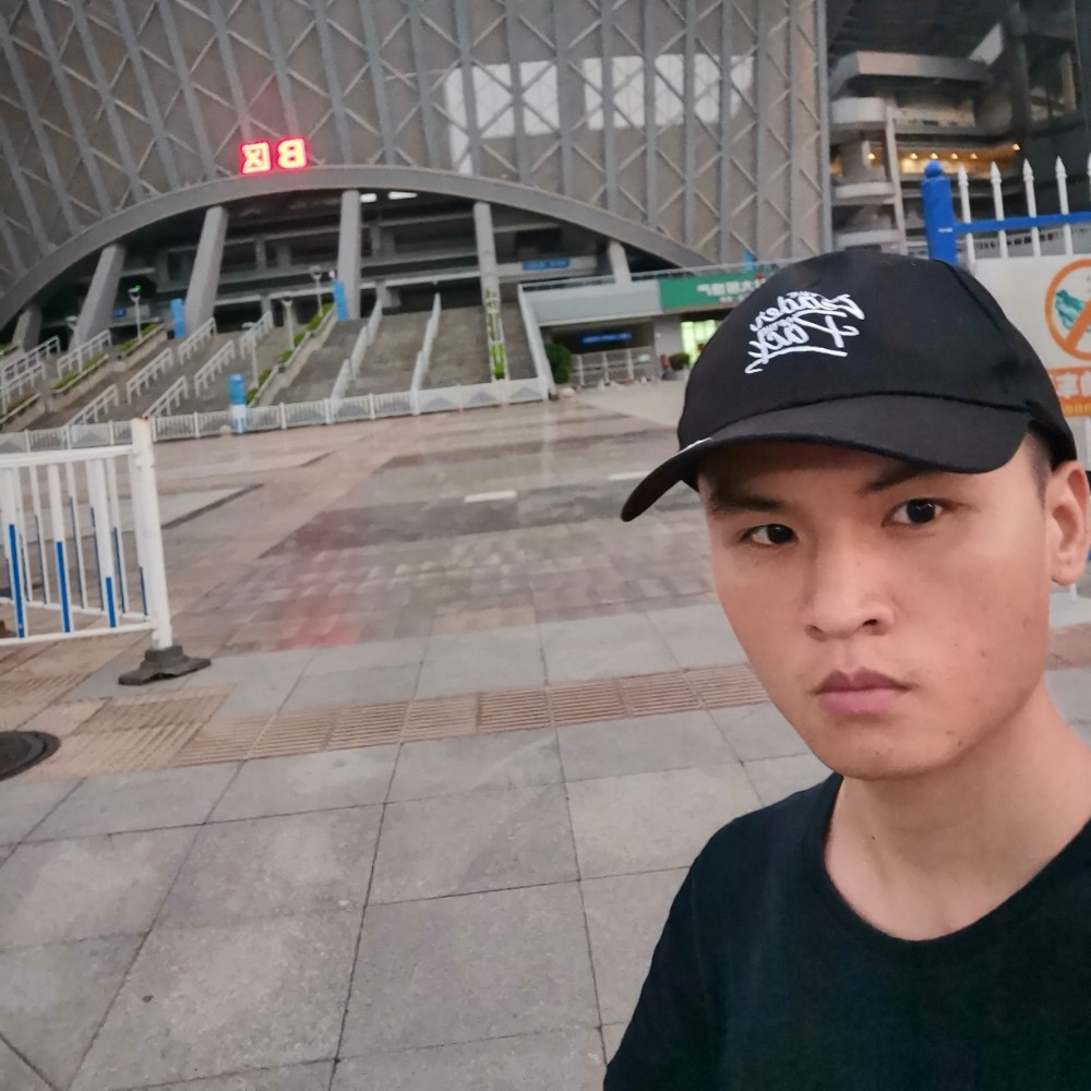飞鸟迎美好的照片