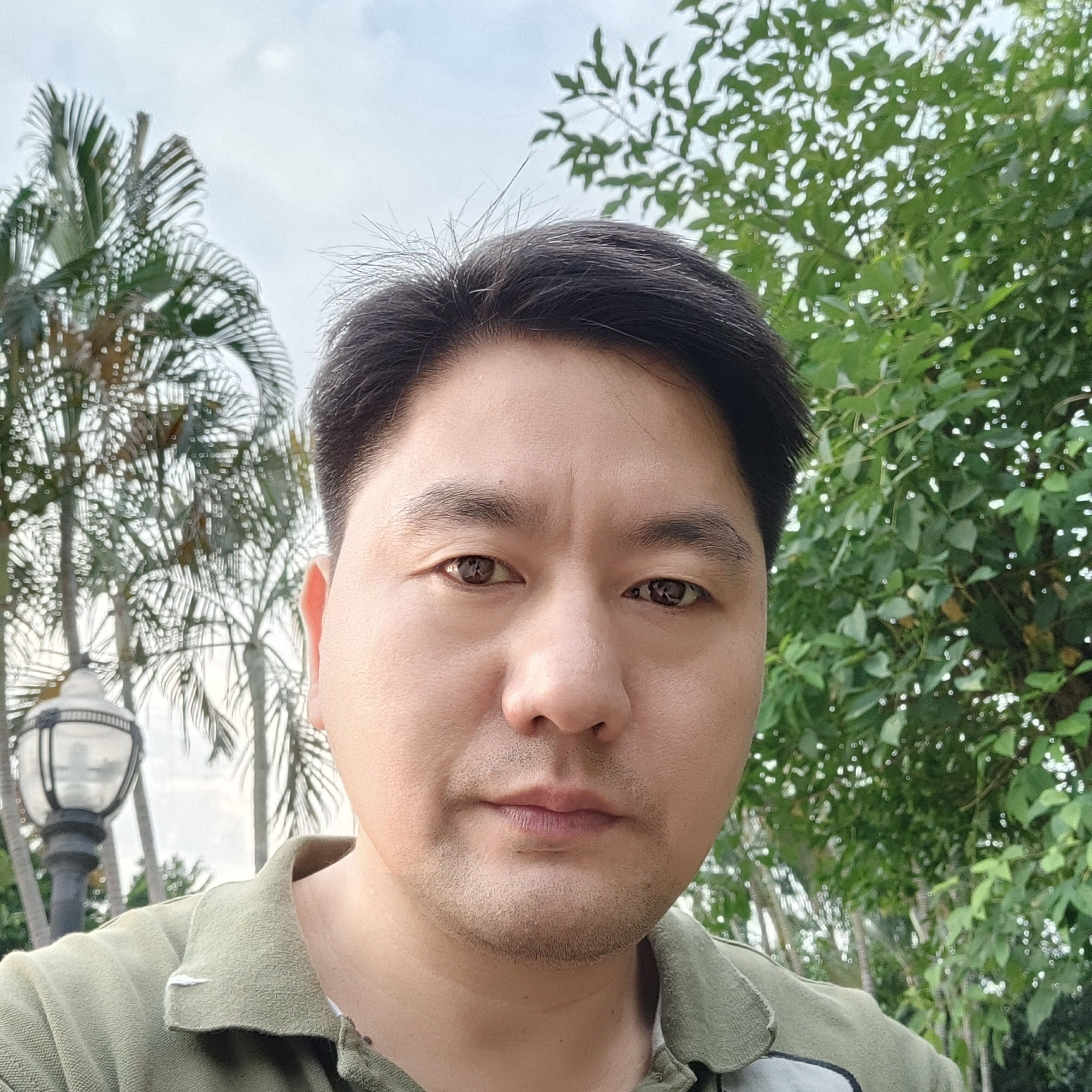 超级的飞鸟的照片