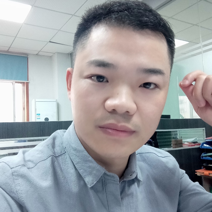 大雁停止迷路的照片