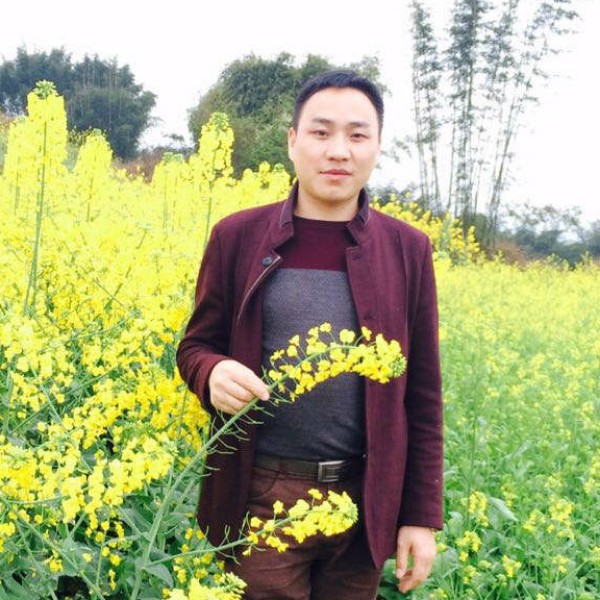 小蜜蜂彼年的照片